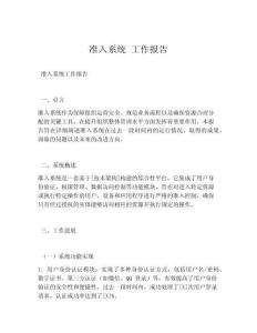 准入系统 工作报告