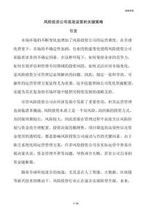 风险投资公司高效运营的关键策略