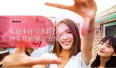 电通小红书美妆行业种草营销解决方案