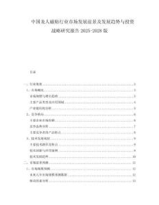 中国龙人磁贴行业市场发展前景及发展趋势与投资战略研究报告2025-2028版