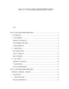 2025年中国水晶瓶头数据监测研究报告