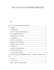 2025年中国立体声电容话筒数据监测研究报告