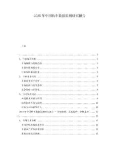 2025年中国轨车数据监测研究报告