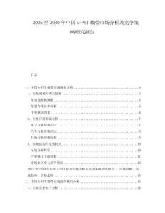 2025至2030年中国A-PET载带市场分析及竞争策略研究报告