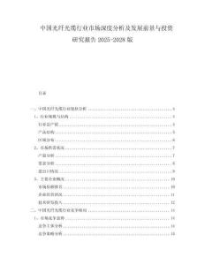 中国光纤光缆行业市场深度分析及发展前景与投资研究报告2025-2028版