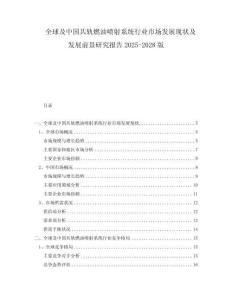 全球及中国共轨燃油喷射系统行业市场发展现状及发展前景研究报告2025-2028版