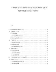 中国燃油浮子行业市场发展前景及发展趋势与投资战略研究报告2025-2028版