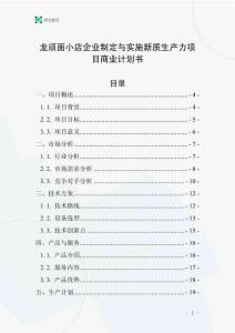 龙须面小店企业制定与实施新质生产力项目商业计划书