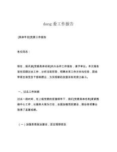 dang委工作报告
