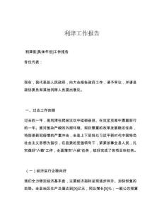 利津工作报告