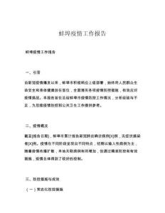 蚌埠疫情工作报告