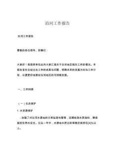 沿河工作报告
