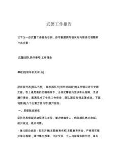 武警工作报告