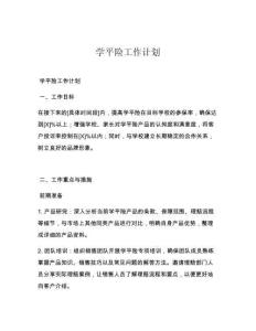 学平险工作计划