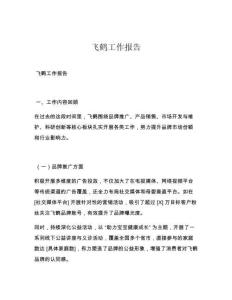 飞鹤工作报告