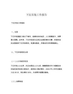 下沉市场工作报告