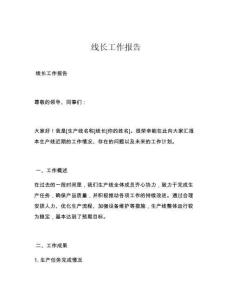 线长工作报告