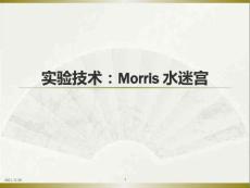 Morris-水迷宫
