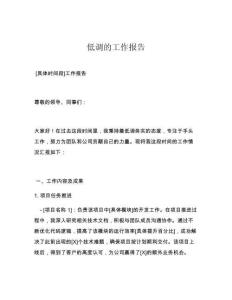 低调的工作报告