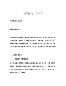 防旱防汛工作报告