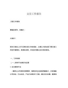 文宣工作报告