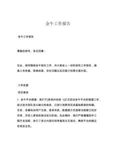 金牛工作报告