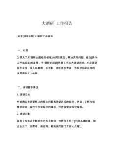 大调研 工作报告