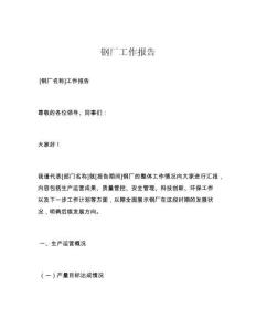 钢厂工作报告