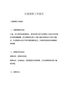 小强观察工作报告