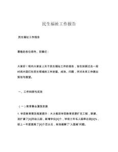 民生福祉工作报告