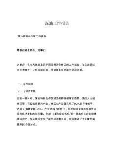 深汕工作报告
