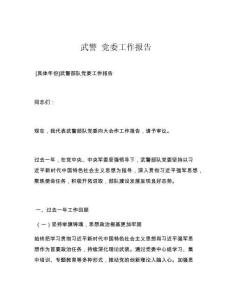 武警 党委工作报告