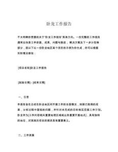 卧龙工作报告