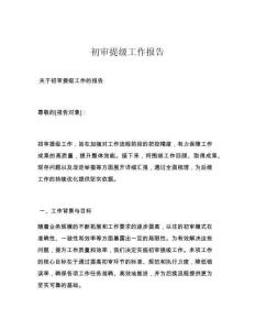 初审提级工作报告