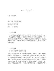 dsa工作報告