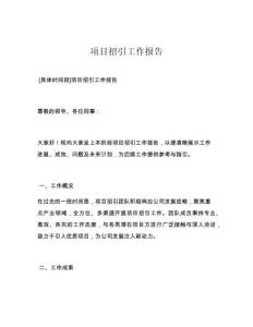 项目招引工作报告