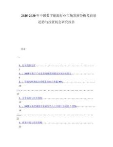 2025-2030年中国数字能源行业市场发展分析及前景趋势与投资机会研究报告