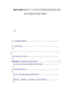 2025-2030线束电子工具行业市场现状供需分析及投资评估规划分析研究报告