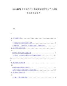 2025-2030中国伽玛刀行业深度发展研究与“”企业投资战略规划报告