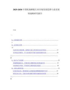 2025-2030中国机场睡舱行业市场发展趋势与前景展望战略研究报告