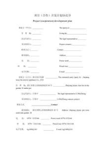 项目开发计划协议书实用文档