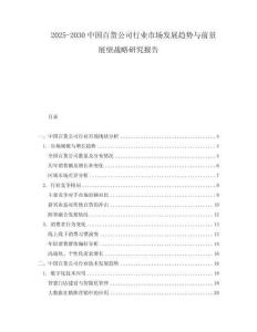 2025-2030中国百货公司行业市场发展趋势与前景展望战略研究报告