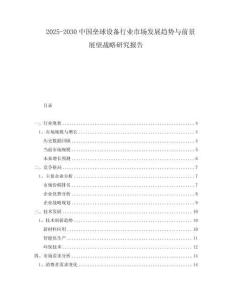 2025-2030中国垒球设备行业市场发展趋势与前景展望战略研究报告