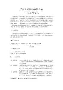 2025年云南驰宸科技有限公司CIS设计方案