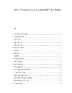 2025年中国白水行业投资前景及策略咨询研究报告