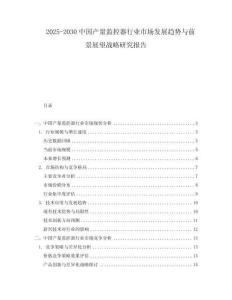 2025-2030中国产量监控器行业市场发展趋势与前景展望战略研究报告