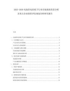 2025-2030电池供电的剪子行业市场现状供需分析及重点企业投资评估规划分析研究报告