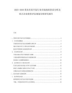 2025-2030莫布里真空泵行业市场现状供需分析及重点企业投资评估规划分析研究报告
