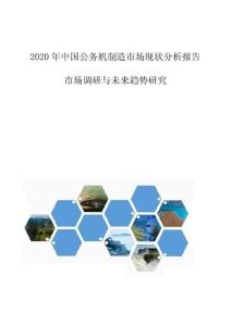 中國公務(wù)機制造市場現(xiàn)狀分析報告-市場調(diào)研與未來趨勢研究