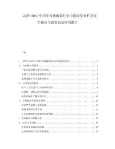 2025-2030中国牛肉辣椒酱行业市场深度分析及竞争格局与投资前景研究报告